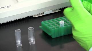 DNA Quantitation Using a Spectrophotometer [upl. by Ario141]