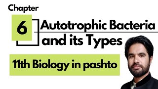 Autotrophic Bacteria  Photoautotrophs  Chemoautotrophs  11th Biology in pashto [upl. by Larianna]