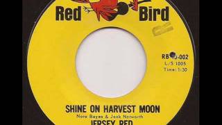 JERSEY RED  SHINE ON HARVEST MOON RED BIRD [upl. by Ennayd]