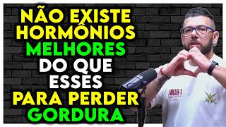 DROG4S de VERÃO para SECAR quais os MAIS UTILIZADOS  Hormônios para PERDER GORDURA  Adam Abbas [upl. by Felice]