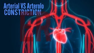 vasoconstriction and vasodilation [upl. by Ardnahc]