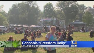 Hempfest Takes Over Boston Common [upl. by Edniya]