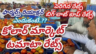 16092024 kolar tomato market ratetoday Kolar tomato market price kolartomatomarkettomato [upl. by Fia426]