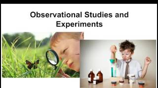 Observational Studies and Experiments [upl. by Llekim]