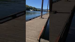 180° Panoramic View Willamette River amp Fremont Bridge Portland [upl. by Dworman999]