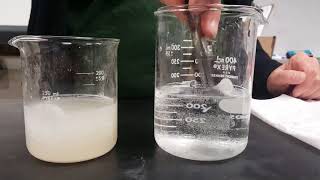 Catalase and Hydrogen Peroxide [upl. by Locin]