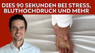 Drücke DIESE Punkte 90 Sekunden für Deine Leber bei Stress Angst und Bluthochdruck [upl. by Aserehc]