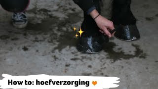 HOW TO hoeven schoonmaken en hoefverzorging  21  Epplejeck [upl. by Ahsitil78]