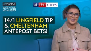 LINGFIELD BEST BETS amp 221 CHELTENHAM ANTEPOST TIP  WEEKEND WINNERS [upl. by Seditsira]