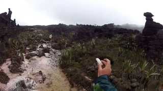 Mount Roraima  Valley of the Crystals [upl. by Ramhaj]