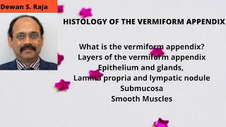 HISTOLOGY OF THE VERMIFORM APPENDIX [upl. by Silevi810]