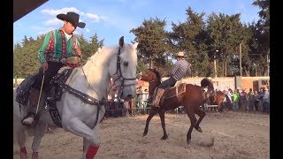 ¡¡¡CABALLOS BAILADORES EN PATZCUARO MICHOACAN [upl. by Compte]