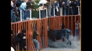 El toro quotRatoneroquot de la ganadería de Miguel Vilar quotLucasquot Vilafamés Toros de Leyenda [upl. by Ober]