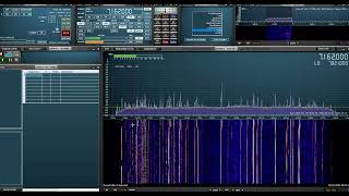 Testy SDR RSP1 EFHW 205 [upl. by Seraphim328]