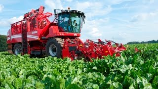 GRIMME REXOR 620  selfpropelled beet harvester [upl. by Haizek]