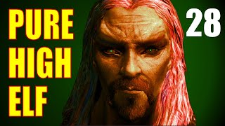 Skyrim PURE HIGH ELF Walkthrough Part 28  Discerning the Transmundane 22 [upl. by Krilov]