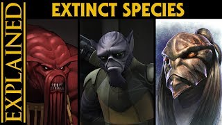 The Extinct Species of the Star Wars Galaxy [upl. by Sheri571]