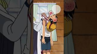 A Day In The Life Of The Monkey D Family 🤣 onepiece luffy anime animeedit shorts fyp foryou [upl. by Feenah]