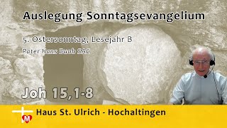 Pater Hans Buob SAC Predigt 5 Ostersonntag Lesejahr B Joh 1518 [upl. by Urina230]