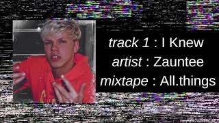 Zauntee  Allthings  I Knew Official Audio [upl. by Ennaeerb]