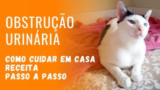 Obstrução Urinária em gatos  Como cuidar em casa  Receita com passo a passo  Gato é Vida [upl. by Novelia]