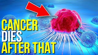 CANCER is Afraid of These Products TOP 15 cancerdestroying products [upl. by Mitch]