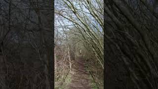 Exploring An Abandoned Railway Beautiful Walks Condensed into 1 Minute EnglishCountryside [upl. by Guthrey185]