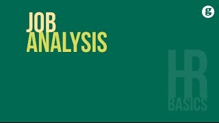 HR Basics Job Analysis [upl. by Esikram334]