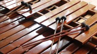 MARIMBA PERLA DE CHIAPAS  PALENQUE [upl. by Gettings184]