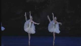 Swan Lake Act II  Big Swans Dance [upl. by Trin]