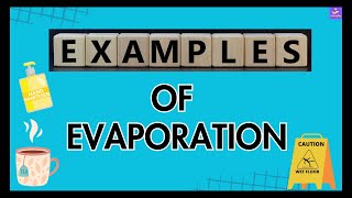 Common Examples Of Evaporation  Evaporation Around Us  Simple Examples Explained [upl. by Hennebery]