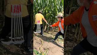 Essential Farming Tools for Rural Farmer  Corn 🌽 🌽 Silage Cutting Tools shorts satisfying [upl. by Kelson]