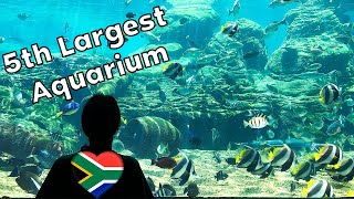 uShaka Marine World  Visit the 5th Largest Aquarium in the World [upl. by Ullman575]