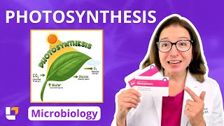 Photosynthesis Microbiology for PreNursing PreMed amp Health Field Careers  LevelUpRN [upl. by Etteiluj]