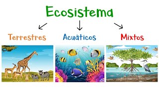 🌿 ¿Qué son los Ecosistemas 🌎 Tipos de Ecosistemas 🐠 Fácil y Rápido [upl. by Atiana]