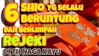 6 SHIO yg selalu BERUNTUNG amp berlimpah REJEKI di th NAGA KAYU [upl. by Slein]