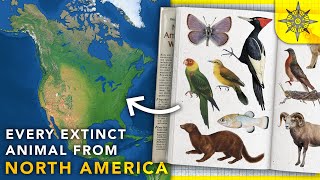 Mapping Every Extinct Animal From North America [upl. by Acissehc]