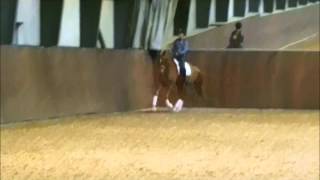 Salgsvideo af Barnaby Bitsch [upl. by Darsey]