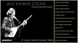 Ali Ekber Çiçek  El Vurup Yaremi İncitme Tabip Official Lyric Video [upl. by Veradia935]