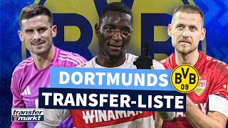 Guirassy Groß amp Co Dortmunds TransferGerüchte im Check  TRANSFERMARKT [upl. by Aihsekram]