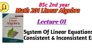 Lecture 01 System of Linear Equations TU BSc 2nd year  Math 201unique study [upl. by Eiryk]