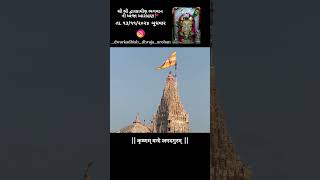 Shree Dwarkadhish Dhvaja Arohan Date 13112024 [upl. by Seiuqram]