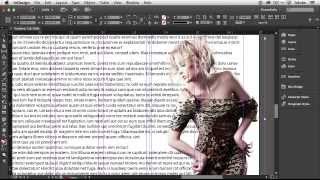 How To Get Started With Adobe InDesign CC  10 Things Beginners Want To Know How To Do [upl. by Lennej639]