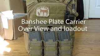 Shellback Tactical Banshee Plate Carrier Overview [upl. by Ivy]