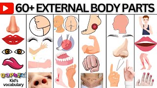 Body Parts  Parts of the Body in English  Listen And Practice [upl. by Beckerman]