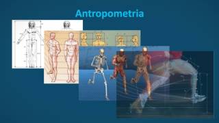 Medidas Antropométricas  Apresentação [upl. by Liuka]