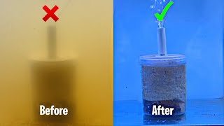 DIY Fish Tank Filter  How to make aquarium filter at home [upl. by Violette]