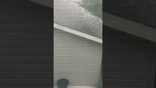 Hailstones pour down in Calgary August 5 2024 shorts hailstones hailstorm hail subscribe like [upl. by Ecirpac]