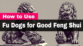 How To Use Fu Dogs For Good Feng Shui [upl. by Aleece]