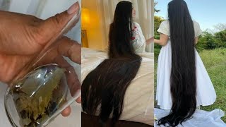 CABELO CRESCE EM 10 DIAS COM APENAS 03 INGREDIENTES CASEIROS PODEROSOS [upl. by Eidda]